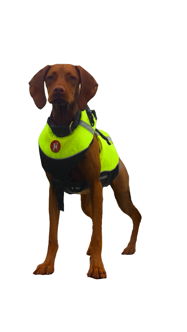 AK-1000 - Dog Flotation Vest