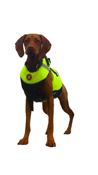 AK-1000 - Dog Flotation Vest