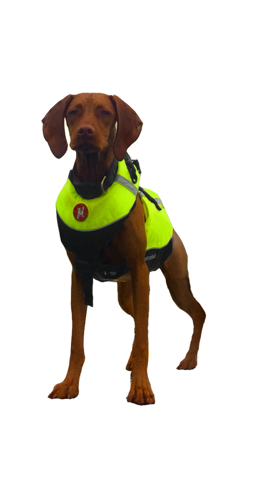 AK-1000 - Dog Flotation Vest